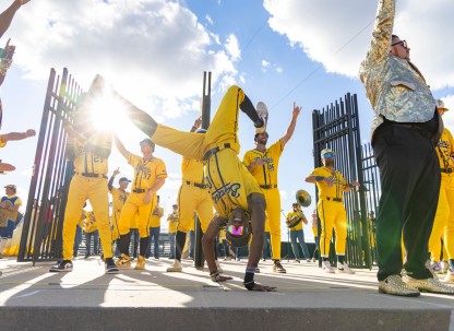 The Savannah Bananas
