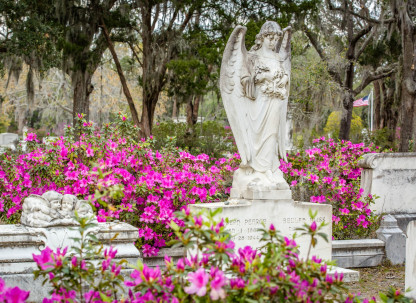 azaleas-bonaventure-cemetery8.jpg