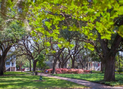 Savannah-square-1.jpg