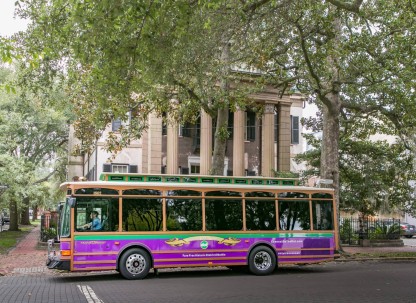 dot-bus-1.jpg