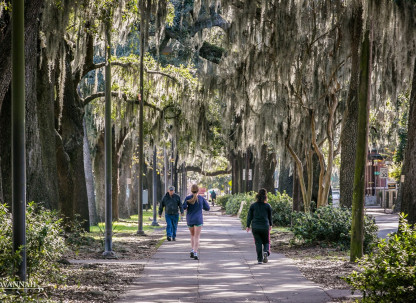 Forsyth-Park-runners.jpg