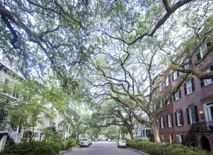 Jones Street in Savannah