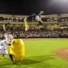 Photo courtesy of The Savannah Bananas