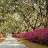 Bonaventure-Cemetery-entrance.jpg