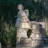 bonaventure_casey7118.jpg