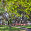 Savannah-square-1.jpg