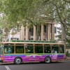dot-bus-1.jpg