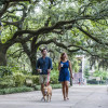 Savannah's Forsyth Park