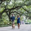 Savannah's Forsyth Park