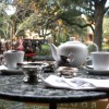 Gryphon Tea Room Gryphon Tea Room