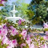 hero_forsyth_fountain_azaleas.jpg