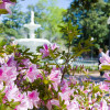 hero_forsyth_fountain_azaleas.jpg