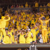 Savannah Bananas' baseball team.