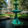 Lafayette Square Fountain and Cathedral