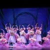 savannah-ballet-theatre-nutcracker2.jpg