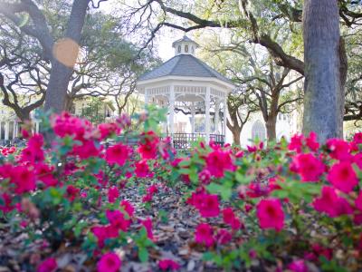 whitefield-square-gazebo.jpg