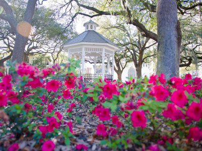 whitefield-square-gazebo.jpg