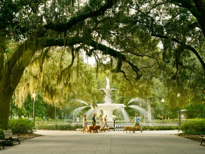 dog tour in forsyth park
