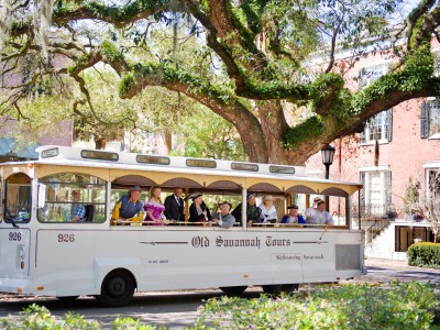 Old Savannah Tours