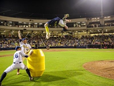 Photo courtesy of The Savannah Bananas