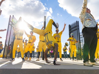 The Savannah Bananas