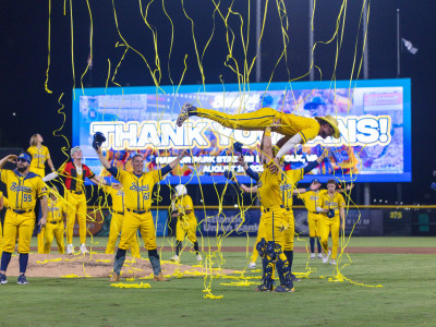 The Savannah Bananas