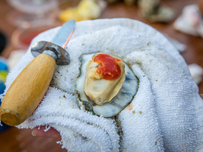 Savannah Oyster Roast