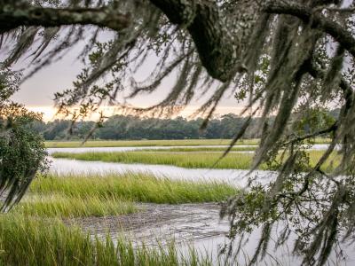 moon-river-marsh-sunset.jpg