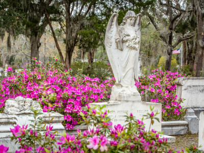 azaleas-bonaventure-cemetery8.jpg