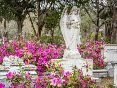 azaleas-bonaventure-cemetery8.jpg
