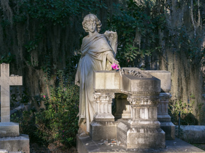 bonaventure_casey7118.jpg
