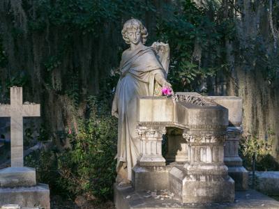 bonaventure_casey7118.jpg