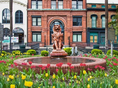 cotton_exchange_fountain_tulips.jpg
