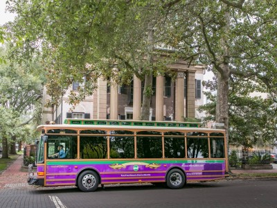 dot-bus-1.jpg