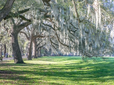 forsyth_park_2.jpg