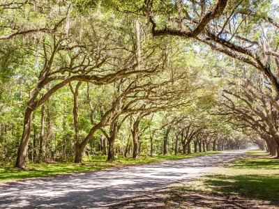 hero-wormsloe-moon-river-district.jpg