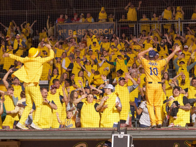 Savannah Bananas' baseball team.