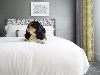 Pet-Friendly Brice Hotel