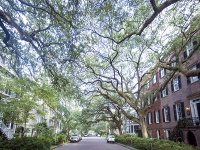 jones-street.jpg