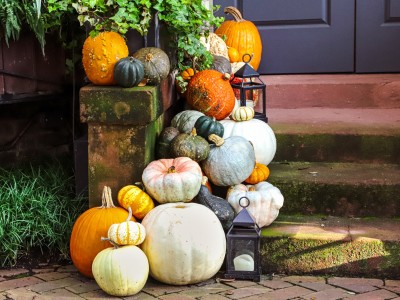 pumpkins_b.howard.jpg