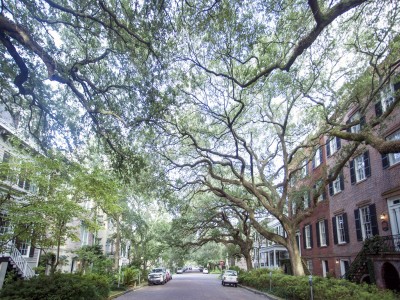 Jones Street Jones Street in Savannah