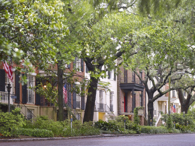 jonesstreet.jpg