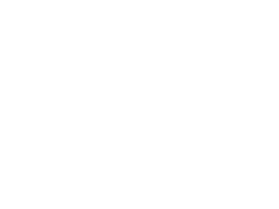 logo-historic-district-300.png