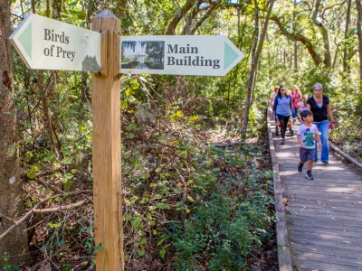 Oatland Island Wildlife Center Oatland Island Wildlife Center