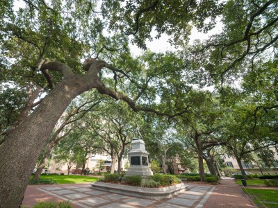 Madison Square Madison Square Savannah