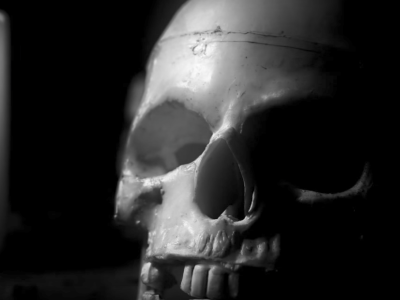the-pirates-house-haunted.jpg