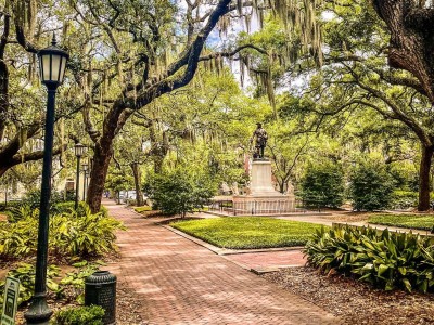 savannah square trees savannah square trees