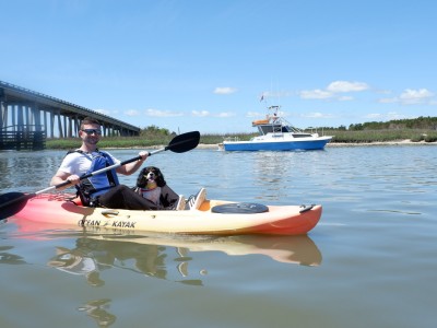 Kayaking-with-dogs.jpg