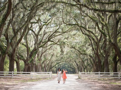 wormsloe-friends-moon-river.jpg