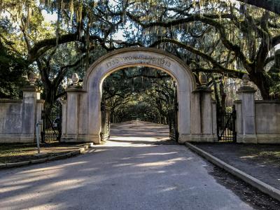 wormsloe-historic-site-savannah-ga.jpg
